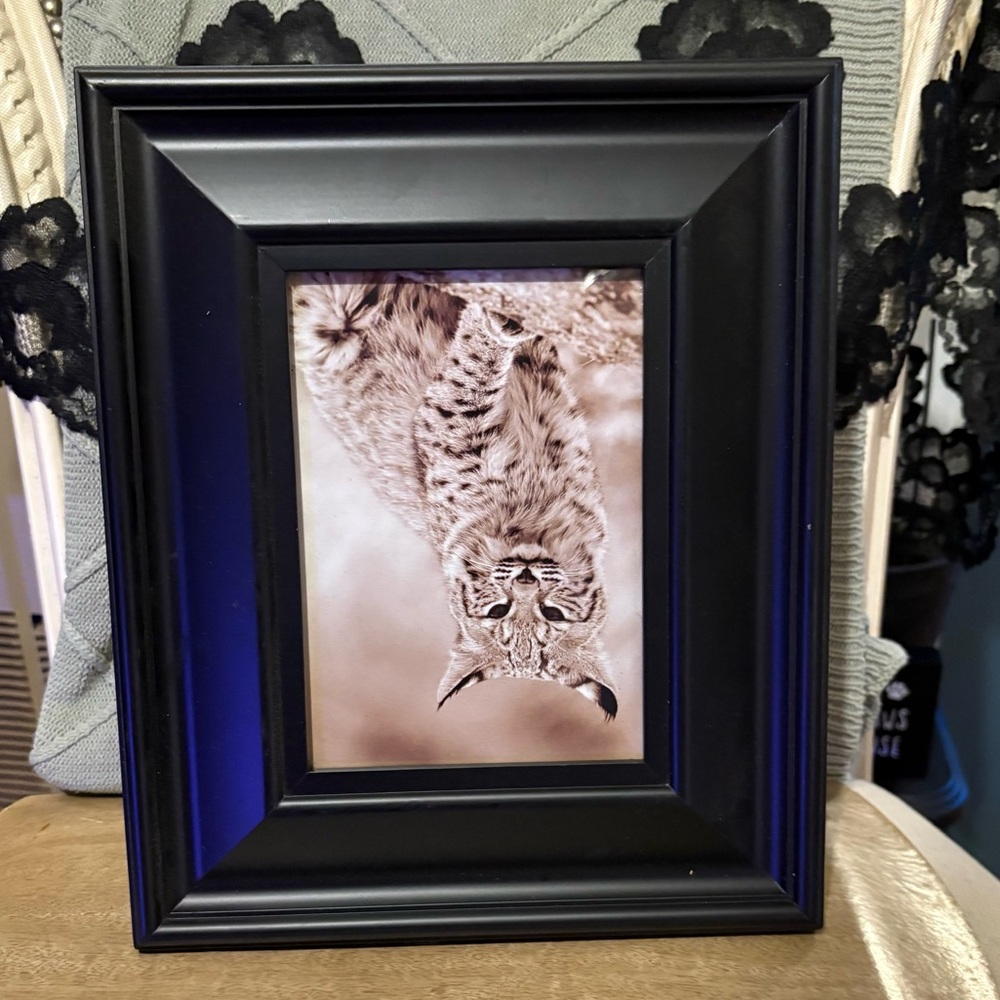 Black wooden 5x7 photo frame 10x12’ wide framed farmhouse chic home decor
